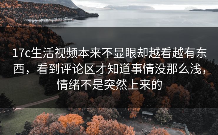 17c生活视频本来不显眼却越看越有东西，看到评论区才知道事情没那么浅，情绪不是突然上来的